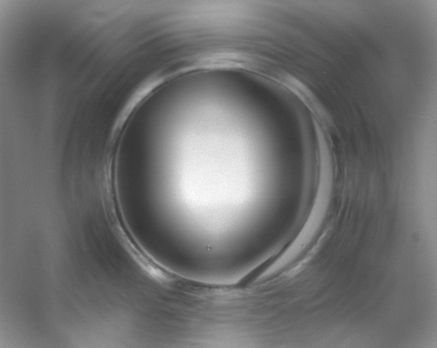 X0000054471196200508121955