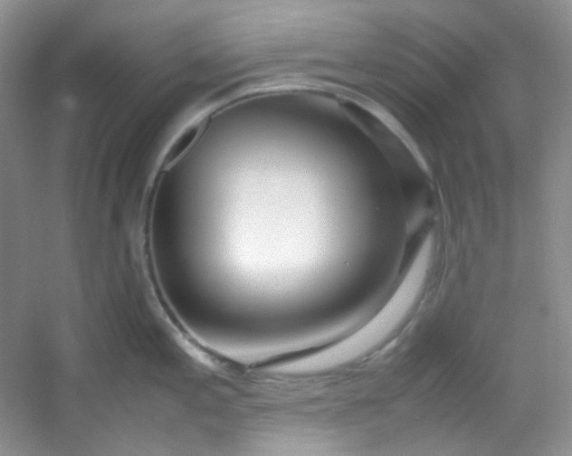 X0000054471197200508121955