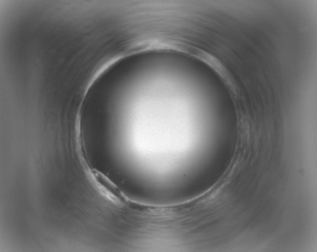 X0000054471198200508121955