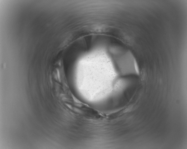 X0000054471202200508121954