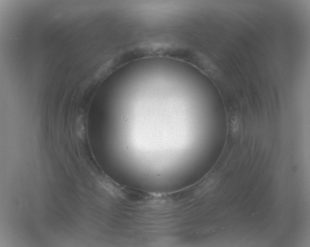X0000054471204200508121954