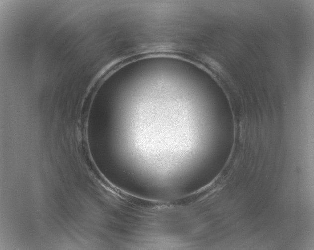 X0000054471212200508121954