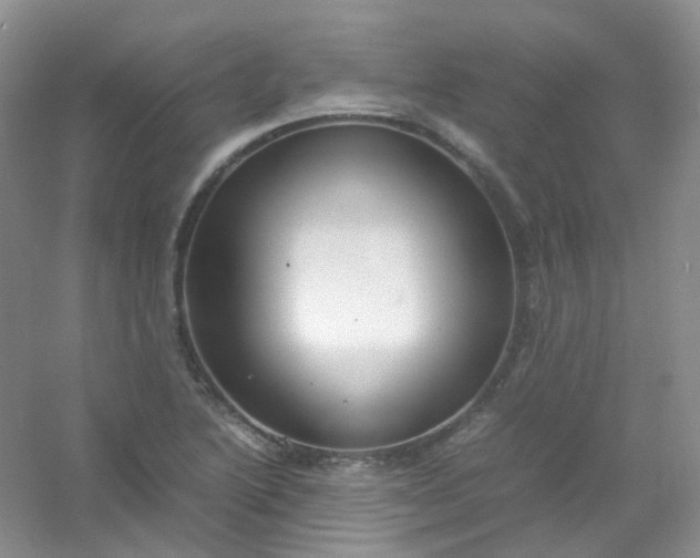X0000054471222200508121955