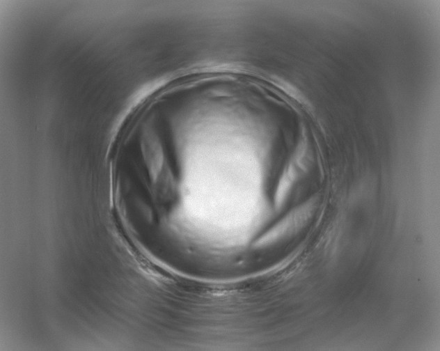 X0000054471223200508121955