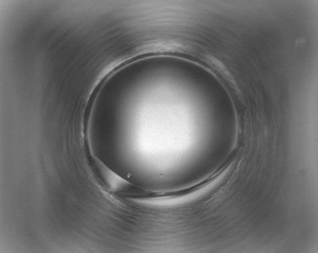 X0000054471226200508121955