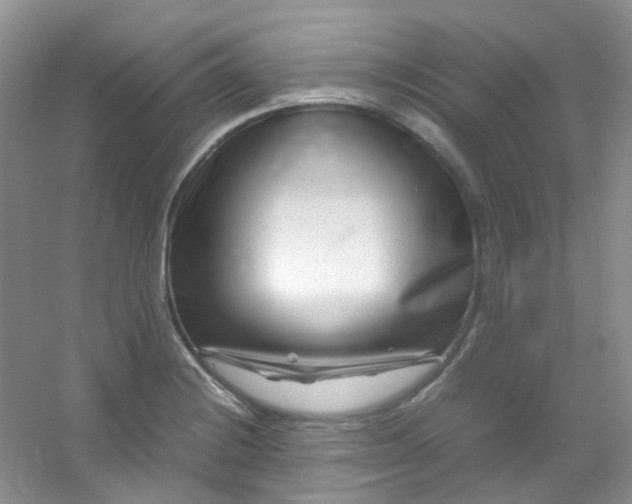 X0000054471228200508121955