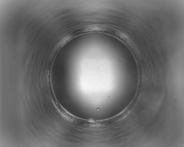 X0000054471233200508121955