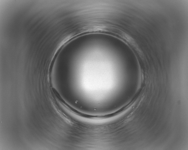X0000054471234200508121955