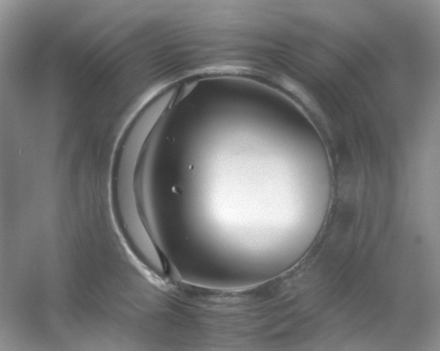 X0000054471237200508121955