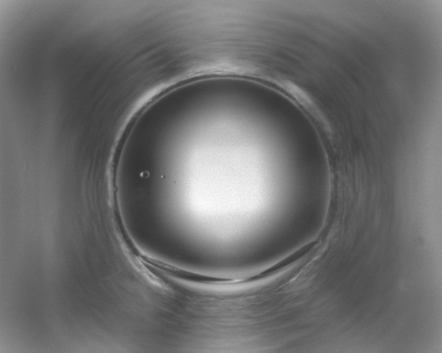 X0000054471238200508121955