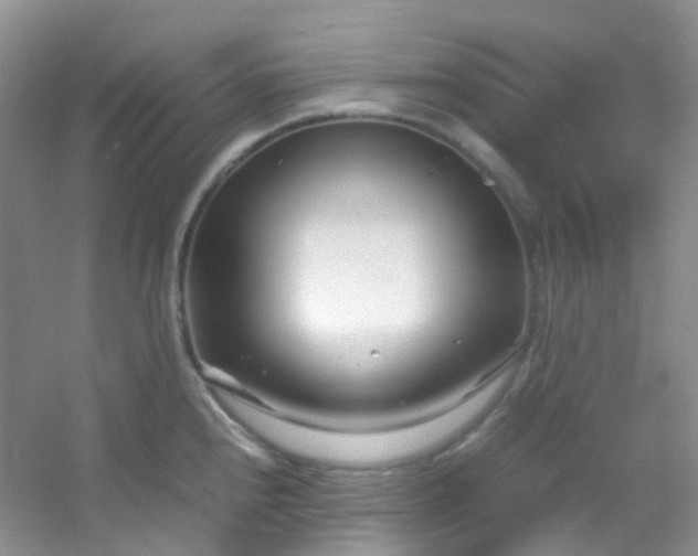 X0000054471240200508121955