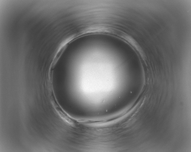 X0000054471242200508121955