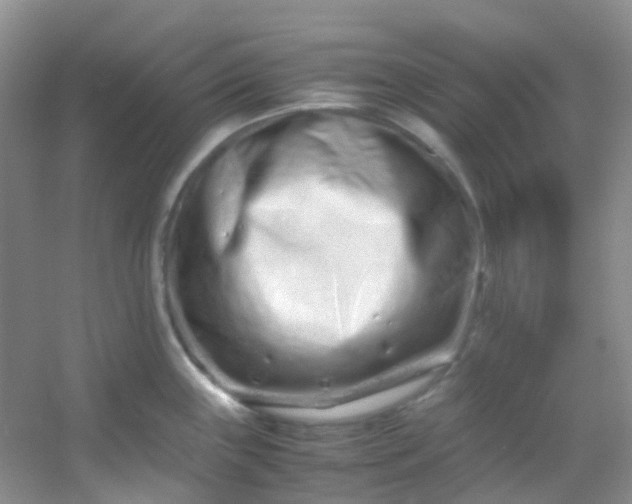 X0000054471243200508121955