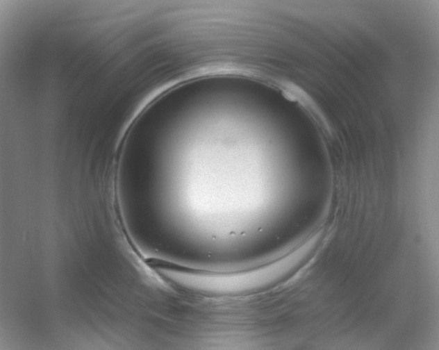X0000054471244200508121955