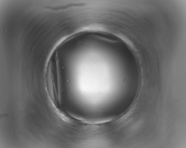 X0000054471248200508121955