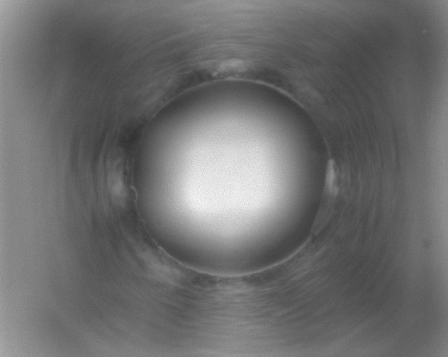X0000054471250200508121954