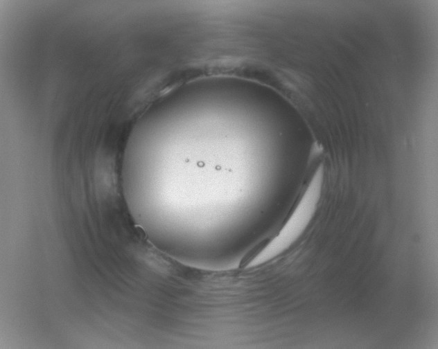 X0000054471252200508121954