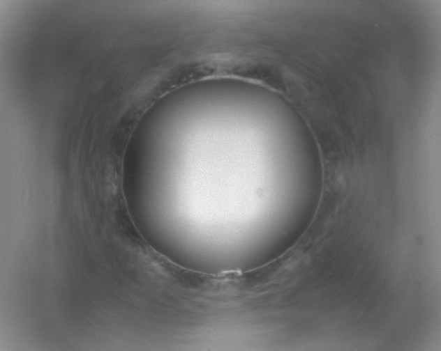 X0000054471253200508121954