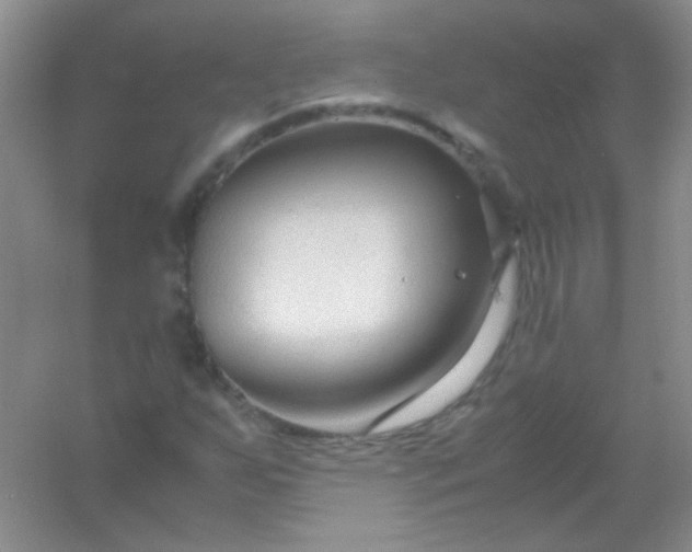 X0000054471255200508121954