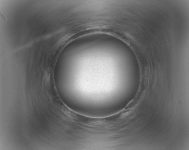 X0000054471257200508121954