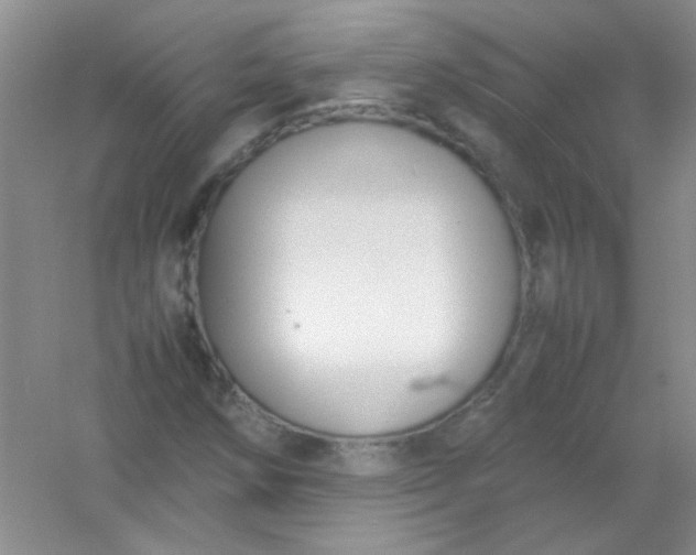 X0000054471258200508121954