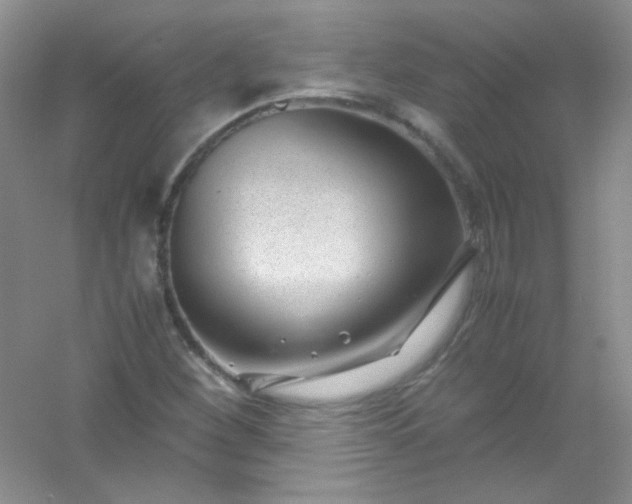 X0000054471260200508121954