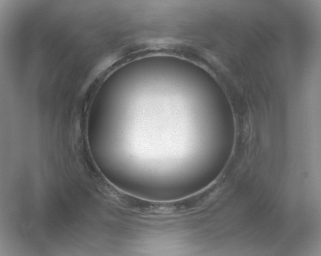 X0000054471261200508121954