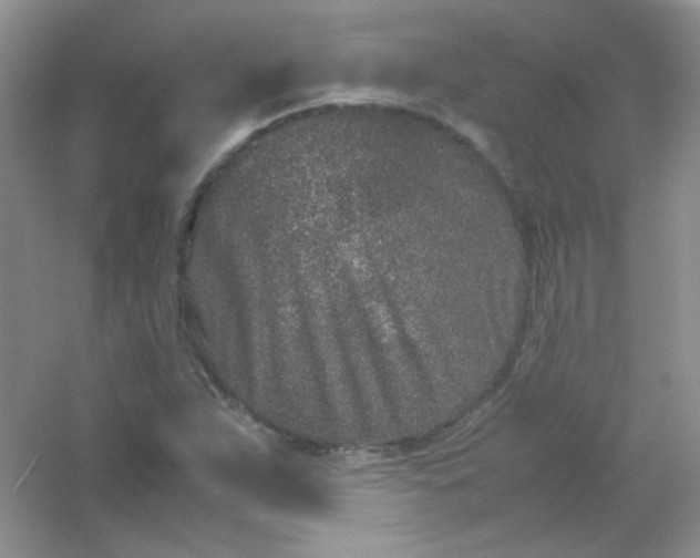 X0000054471263200508121954