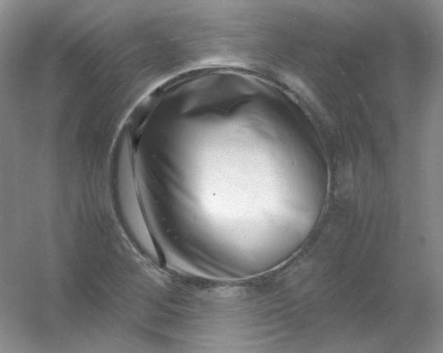 X0000054471268200508121954