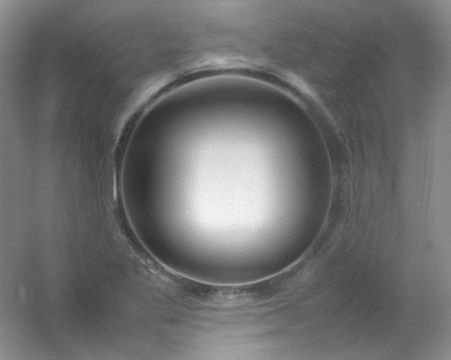 X0000054471269200508121954