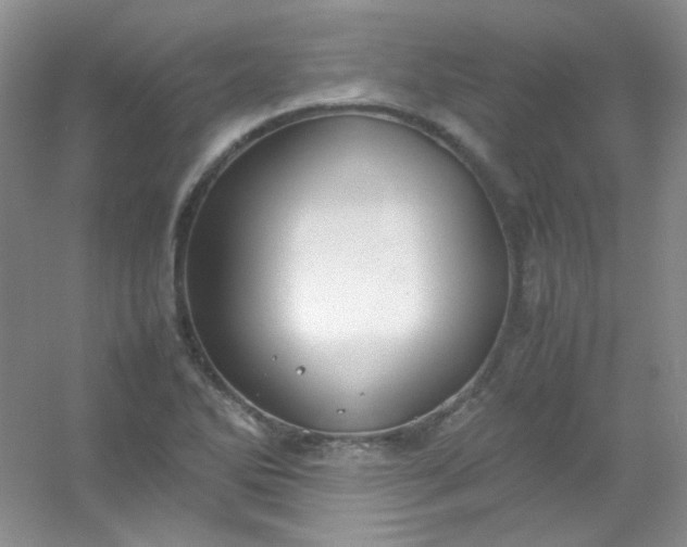 X0000054471270200508121954