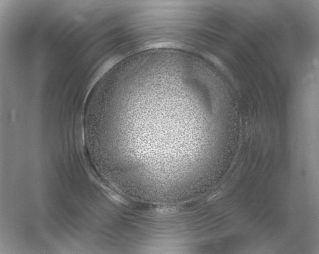 X0000054471274200508121954