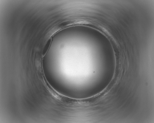 X0000054471281200508121954