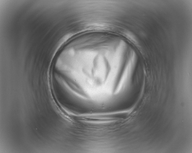 X0000054471283200508121954