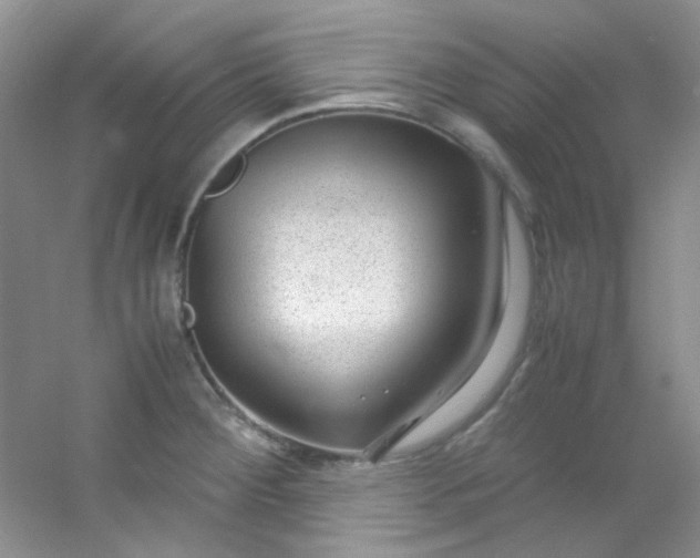 X0000054471284200508121954