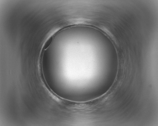 X0000054471285200508121954