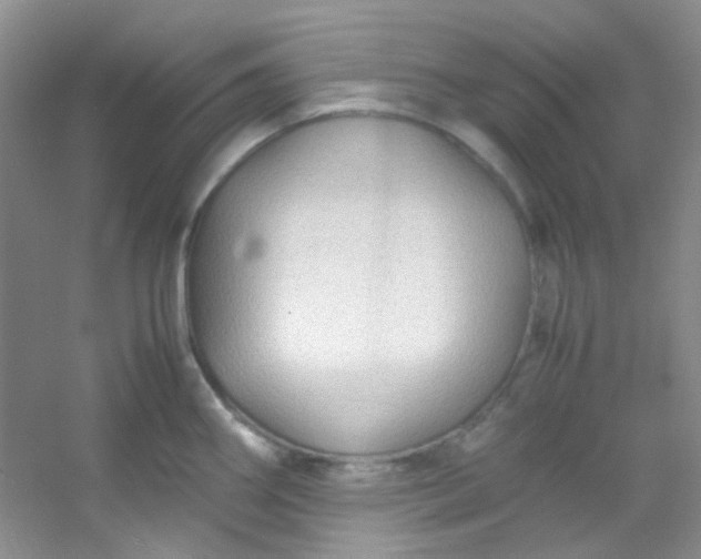 X0000054471290200508121954