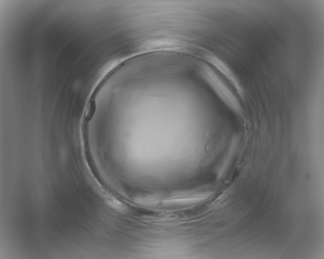X0000054471291200508121954