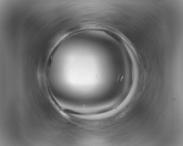 X0000054471293200508121953