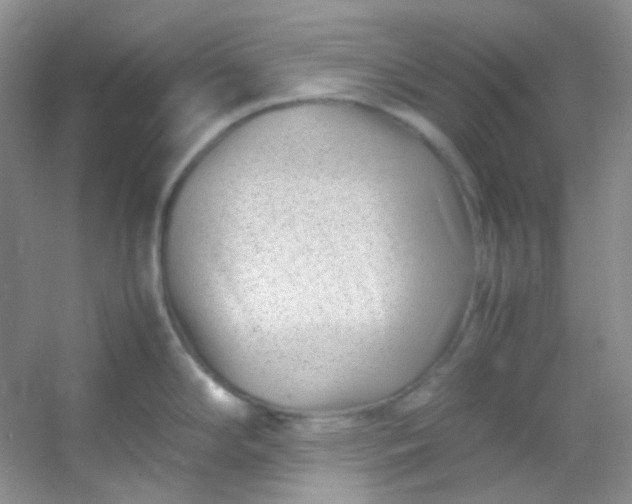 X0000054471294200508121953