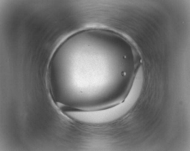 X0000054471295200508121953