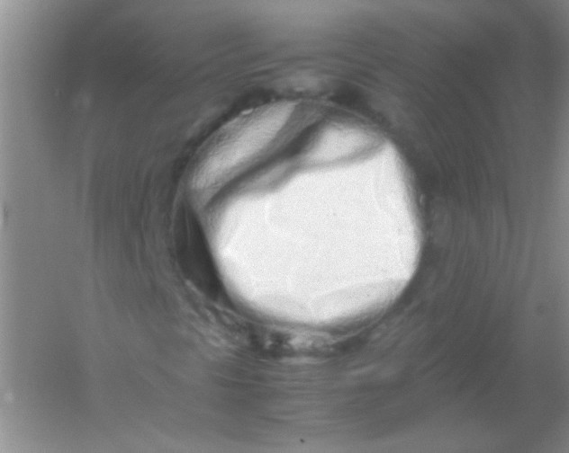 X0000054471297200508121953