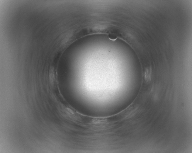X0000054471299200508121953