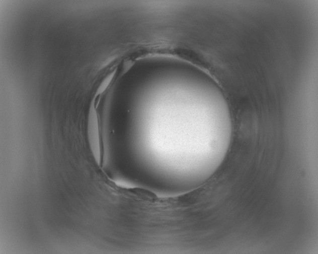 X0000054471301200508121953