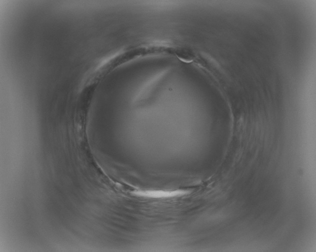 X0000054471303200508121953