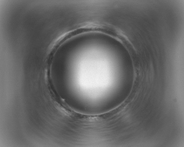 X0000054471304200508121953