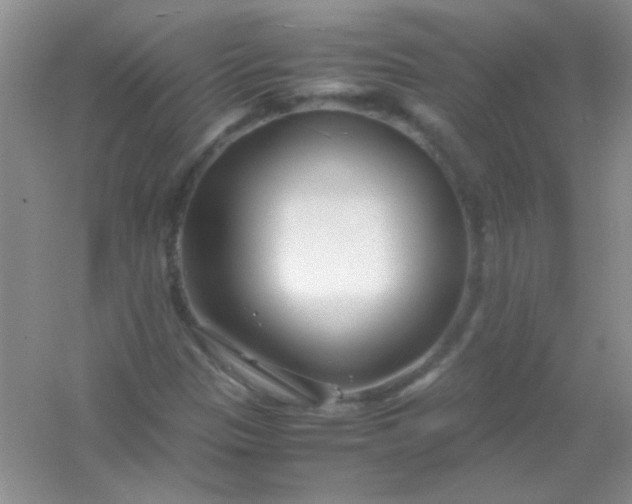 X0000054471305200508121953