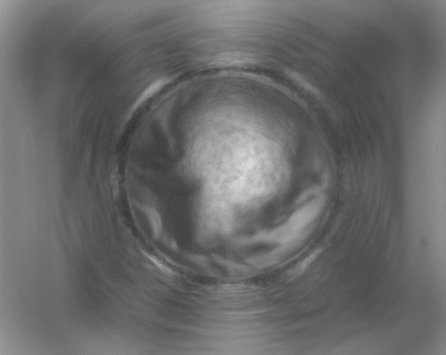 X0000054471306200508121953