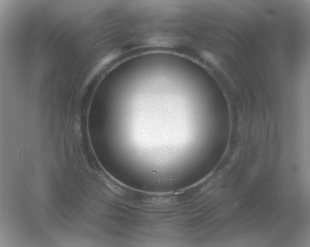 X0000054471307200508121953
