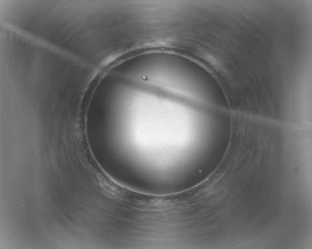 X0000054471308200508121953